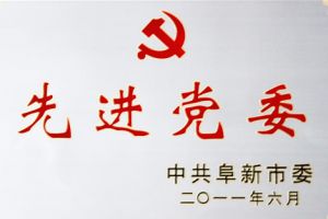 阜新市委授予"先进党委"称号